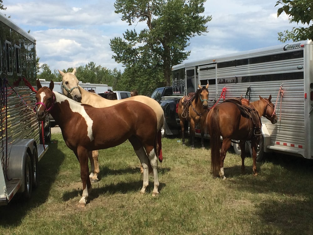 horses