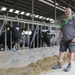 Dutch dairy farmer, Cees Beekmans stands with his cows in his milking barn on his farm near Dongen, Netherlands. Beeksman had to cull 20 cows from his herd when the phosphate rights program came into effect.