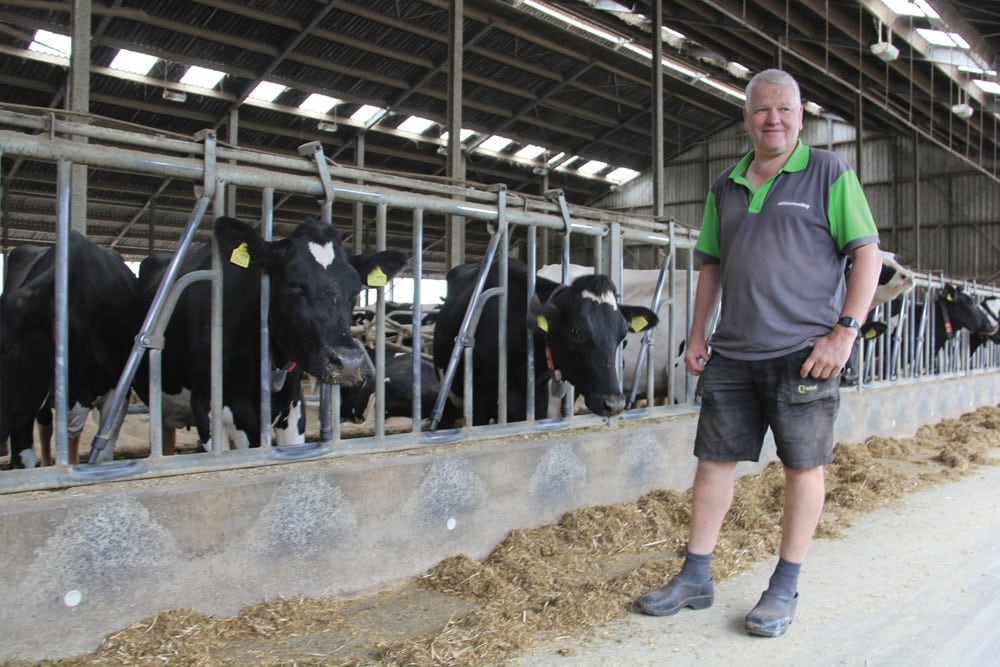 Dutch dairy farmer, Cees Beekmans stands with his cows in his milking barn on his farm near Dongen, Netherlands. Beeksman had to cull 20 cows from his herd when the phosphate rights program came into effect. 