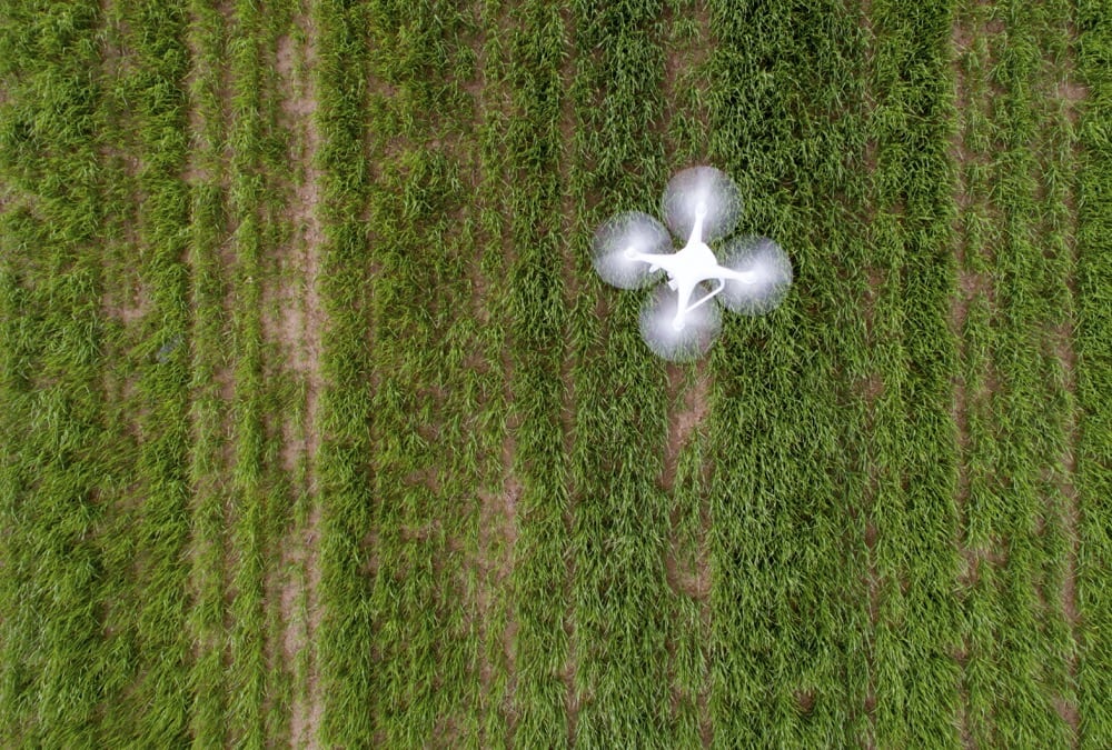 drone UAV flying over a field