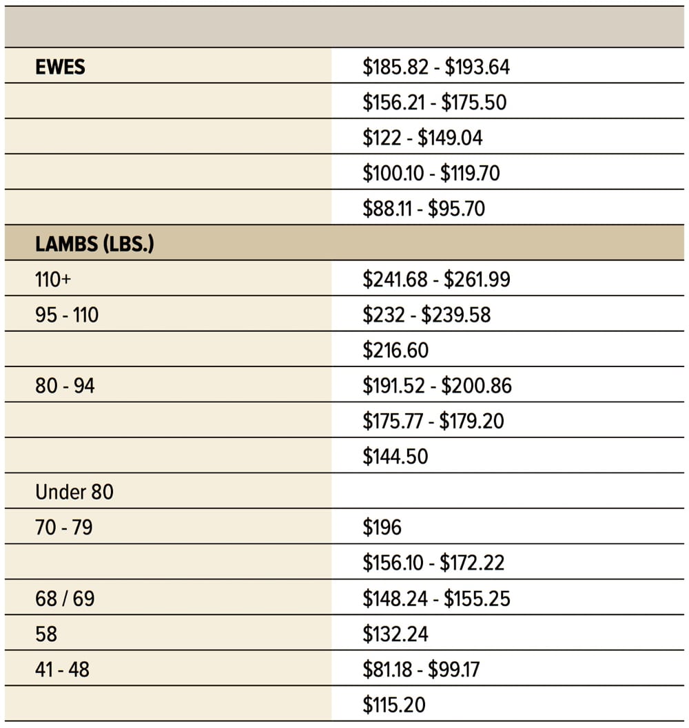 Auction fills festival requirements