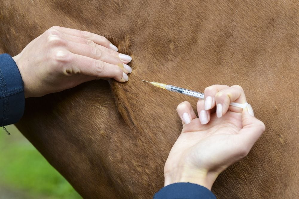 Health Canada plan could harm veterinary drug market, CAHI warns