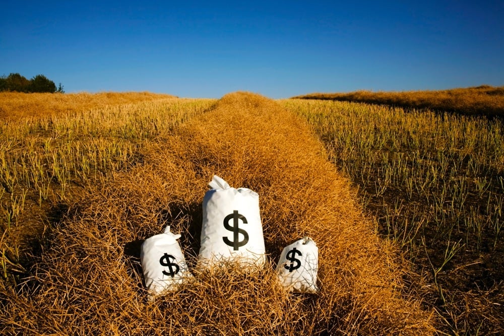 Bags Of Money On A Farm Field