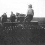 Hours of work and who took care of the horses were just a couple of issues for early farmers while managing their labour force.
