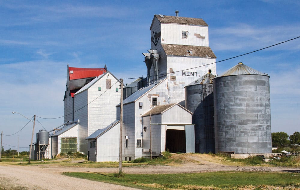 This photo of the elevators at Minto was taken in August 2014, shortly after a windstorm damaged the former Manitoba Pool elevator (40,000 bushels, built in 1928 and traded to Paterson Grain in mid-1988) at left. The former Paterson elevator (32,000 bushels, built in 1936 and closed in 2005) at right fared somewhat better but both of them, in deteriorating condition generally, were deemed too costly to repair by the local farmer-owner. He demolished them in February 2015 but salvaged two steel bins on each side of the Paterson. They remain in active use.