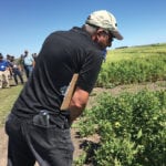 A tour attendee takes a closer look at quinoa variety trials near Melita.