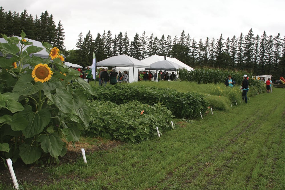 Producers attending this year’s Crops-A-Palooza heard that fungicide doesn’t pay on soybeans, and some surprising information in dry bean row spacing. 