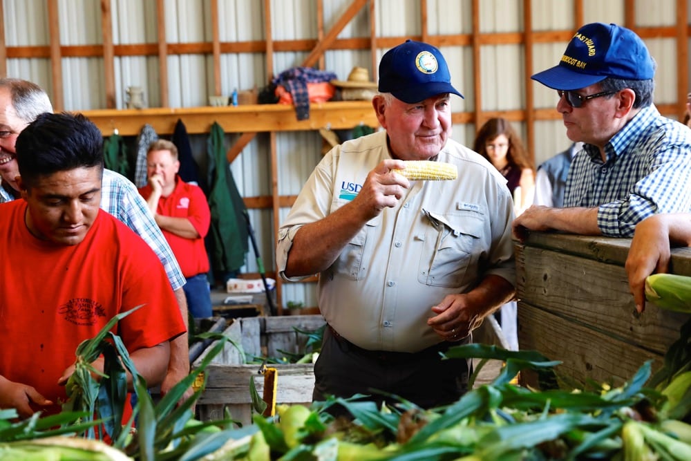 U.S. Agriculture Secretary Sonny Perdue (C) looks at corn with Congressman John Faso (R), U.S. Representative for New York's 19th congressional district, at the Altobelli family farm in Valatie, New York, U.S., August 23, 2018.  Picture taken August 23, 2018.