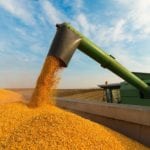 Corn futures were up on the week due to fund buying and rains delaying harvest in the U.S. Corn Belt.
