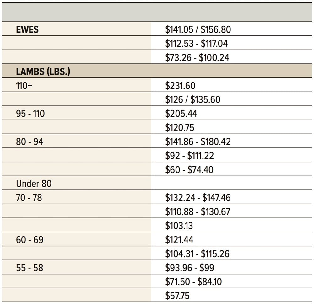 Ample supply of sheep, goats as festival season wraps up