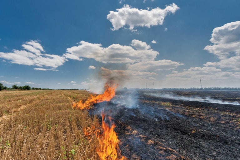 Crop residue burning down, but not out Manitoba Cooperator