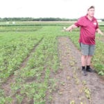 Terry Buss, Manitoba Agriculture’s farm production extension specialist for pulses, explained dicamba drift on susceptible soybeans last year at the Crop Diagnostic School at Carman, Man.