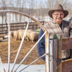 Bill Gibson is among those sheep producers to manage his herd through adaptive grazing.