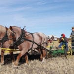 Junior sulky winner Justin McKee with Art Gibson on his specially built cart for teaching how to plow safely.