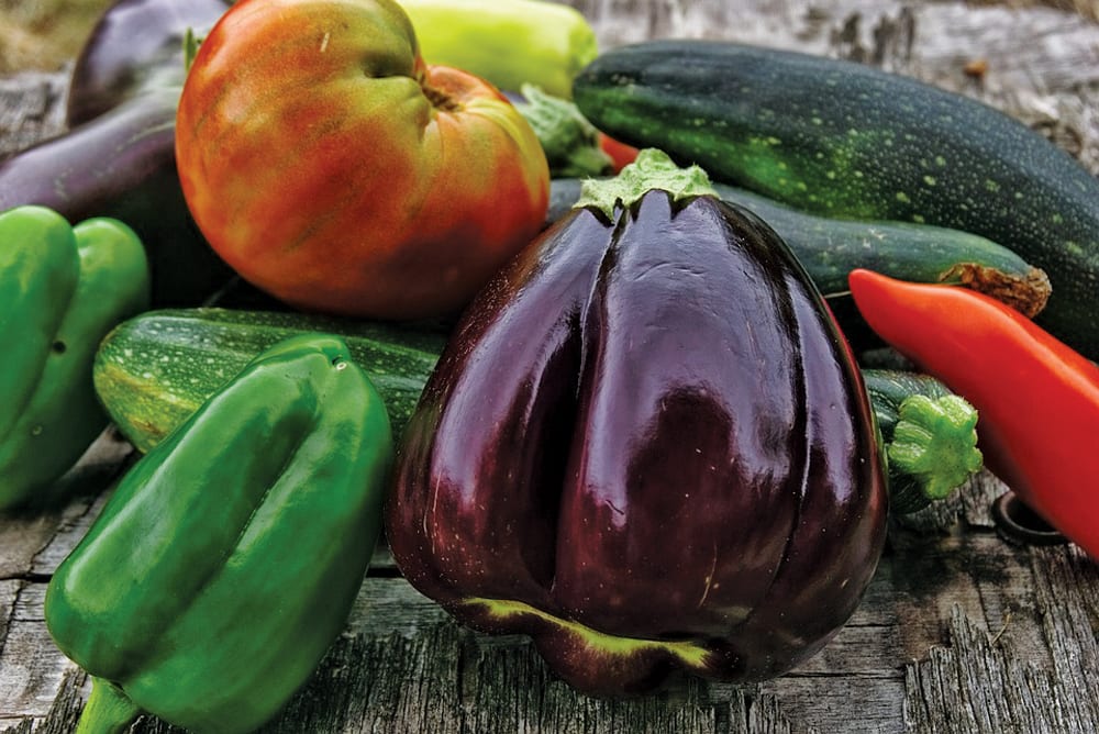 Vegetables such as eggplant can be grilled, roasted, fried, steamed and sautéed.