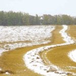 Remaining crops in western Manitoba got another taste of snow on Oct. 5.