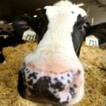 The challenge ahead for Canada's dairy sector is to make the case for their worth to the voting public.