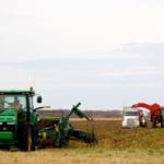 Potato losses could have a potentially huge financial impact for farmers this year, says the Keystone Potato Producers Association.