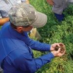 Field tour attendees dig into the soil structure at Borderland Agriculture during a summer field tour. Brooks and Jen White will represent Manitoba at Canada’s Outstanding Young Farmers National Event next month.