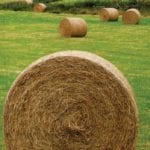 Hay claims shoot past 2017 levels