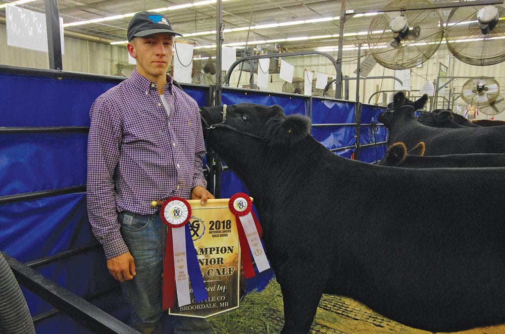 Justin Carvey of Alexander shows off his national championship banner after taking  Senior Champion Bull Calf this year at Ag Ex.