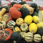 Squash provides health benefits and can be used in a variety of menus.