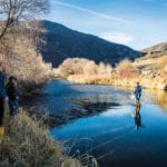 New research shows how water moves massive amounts of carbon laterally through ecosystems — especially during floods.   PHOTO: MICHIGAN STATE UNIVERSITY