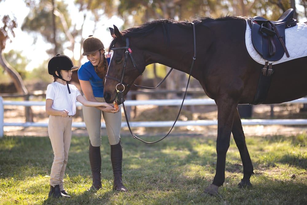 All aspects of riding will be taught at the 4-H club.