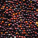 Canola finds some support in thin, choppy trading week