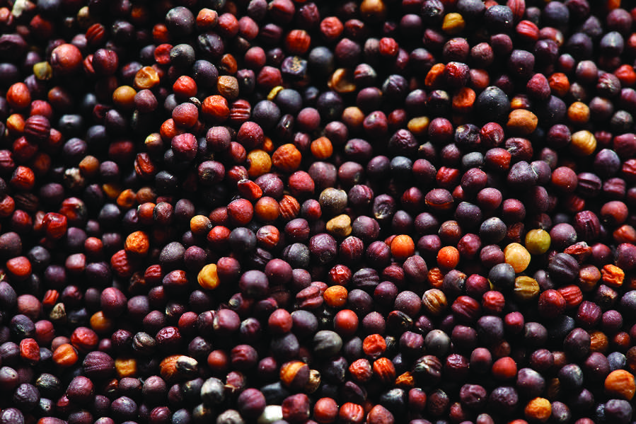 Canola finds some support in thin, choppy trading week