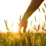 Most Canadian farmers praise quick passage of CPTPP law
