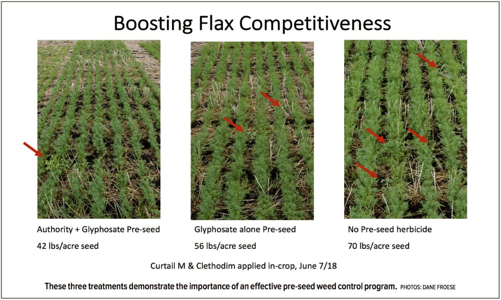 Seed early and heavily to boost flax