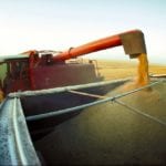 As Western Canadian grain production increases, the volume of grain being exported by container is increasing as well.