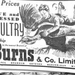 Top prices for live and dressed poultry