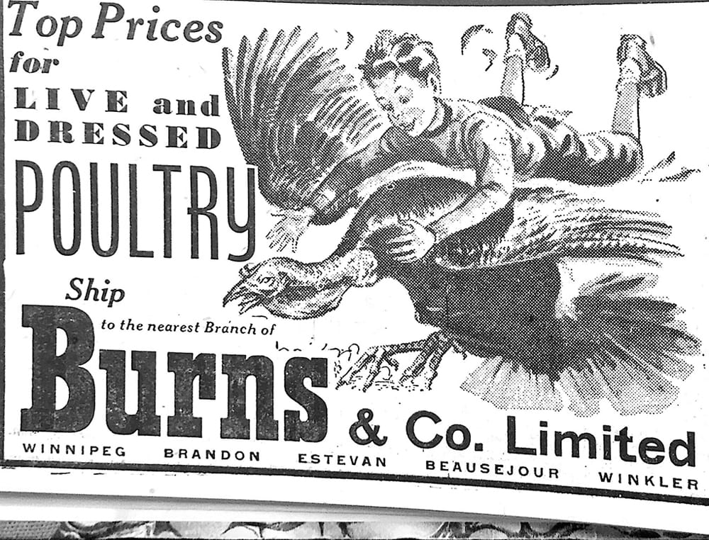 Top prices for live and dressed poultry