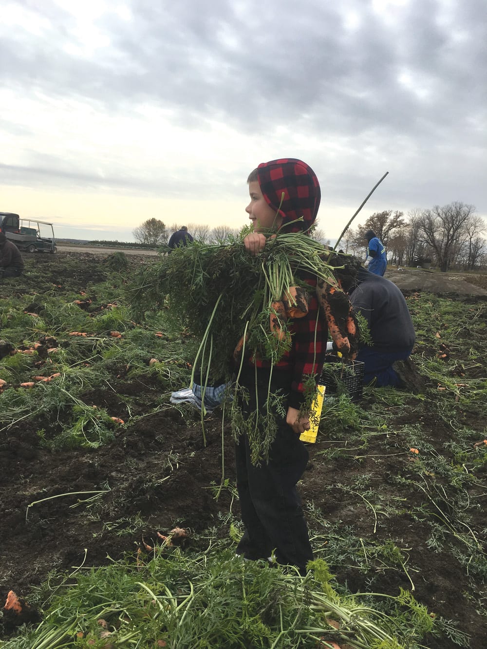 Young Terry Maendel, the author’s nephew, continues a long tradition of pitching in at the colony garden.