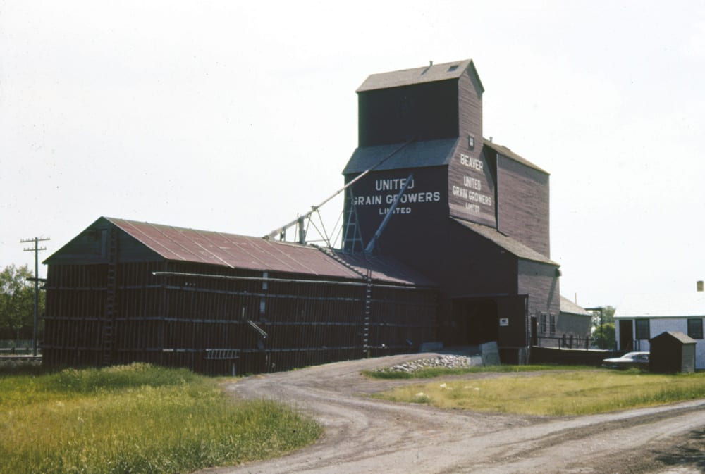An elevator at Beaver, on the CNR line northeast of MacGregor, was built by United Grain Growers in 1935 to replace a predecessor from 1915. Initially rated at 30,000 bushels, its capacity was increased by two balloon annexes intended as a temporary measure during the Second World War. One of them survived until a decade after this photo was taken in 1961. The crib annex on the other side of the elevator was built in June 1958. Closed suddenly in mid-September 1988, the elevator was removed from the site.