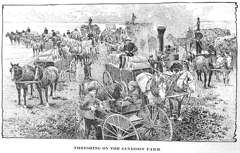 Sandison Farm nabs attention of Scotland Yard