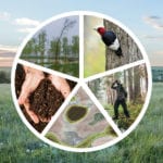 Part of Manitoba’s Climate and Green Plan, the $102-million Conservation Trust will fund activities that create, conserve, or enhance natural infrastructure in Manitoba.