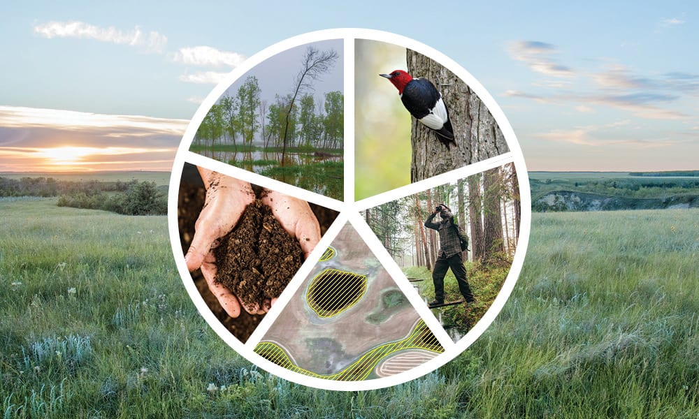 Part of Manitoba’s Climate and Green Plan, the $102-million Conservation Trust will fund activities that create, conserve, or enhance natural infrastructure in Manitoba.