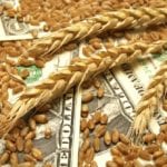 Wheat and U.S. dollars