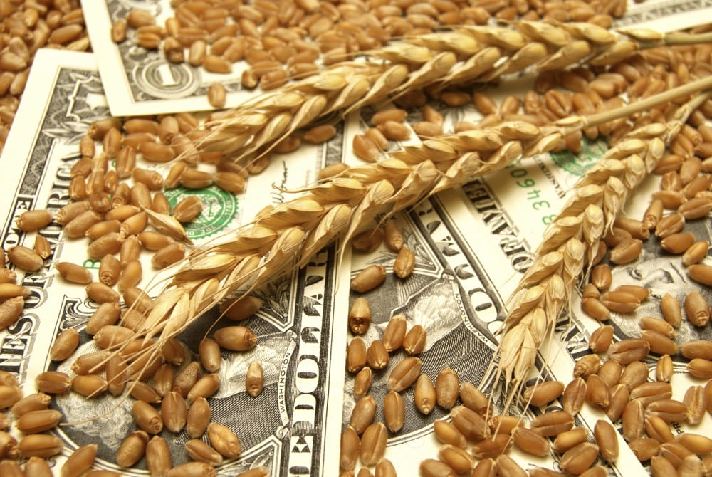 Wheat and U.S. dollars