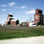 The village of Margaret, on the CNR line between Dunrea and Minto, had two elevators when this photo was taken around 1964. The 30,000-bushel United Grain Growers elevator at left was built in 1926 and expanded with balloon annexes on each side, in 1940 and 1956, before being traded to Manitoba Pool in 1971. The 40,000-bushel Pool elevator at right dated from 1928 and had a single balloon annex built in 1940. By the early 1980s, both were gone.