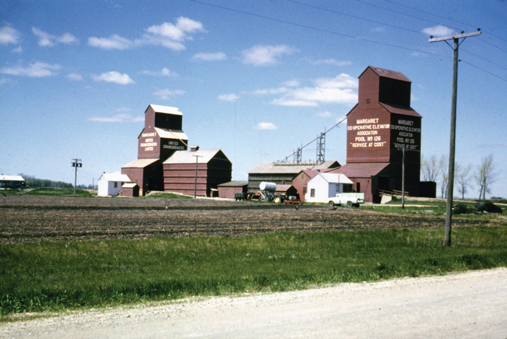 The village of Margaret, on the CNR line between Dunrea and Minto, had two elevators when this photo was taken around 1964. The 30,000-bushel United Grain Growers elevator at left was built in 1926 and expanded with balloon annexes on each side, in 1940 and 1956, before being traded to Manitoba Pool in 1971. The 40,000-bushel Pool elevator at right dated from 1928 and had a single balloon annex built in 1940. By the early 1980s, both were gone.