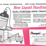 Drive away wireworms with Pandrinox