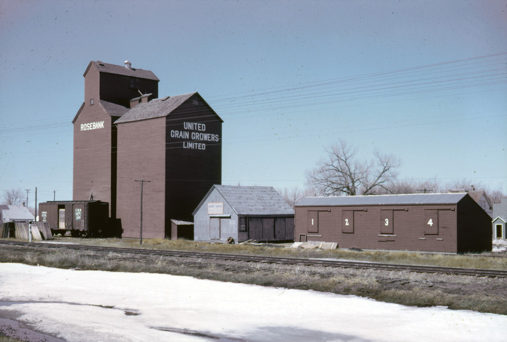 An elevator at Rosebank, along highway No. 23 between Miami and Roland, was built by United Grain Growers in 1927, replacing an earlier elevator at the site. Its initial capacity was 30,000 bushels but, in 1953, the facility was doubled by a crib annex constructed beside it. Seen here in 1962, the elevator was renovated in 1970, closed in 1988, and demolished in mid-1990.