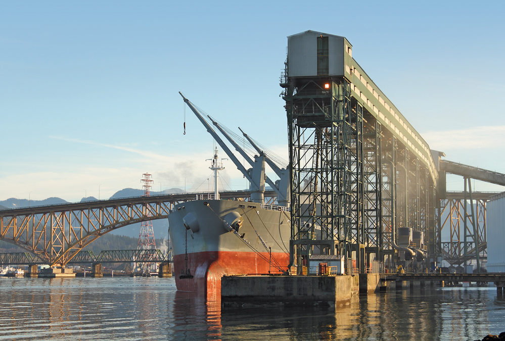 CTA launches first self-initiated rail service investigation