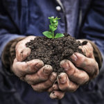 Regenerative agriculture attracts many types of farmers but they all share one goal: building the soil.