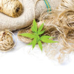 Making more of Canada's hemp crop will mean building a market for fibre.