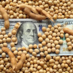 CBOT soybeans dropped 7.33 per cent in 2018, largely due to disrupted trade between the United States and China.